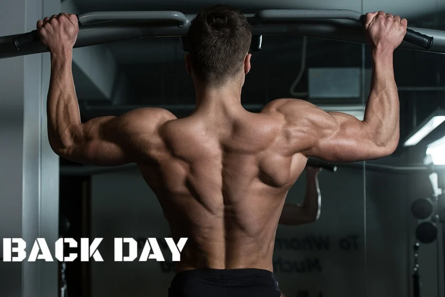 Bodybuilding Series: Sample Week; Back & Biceps