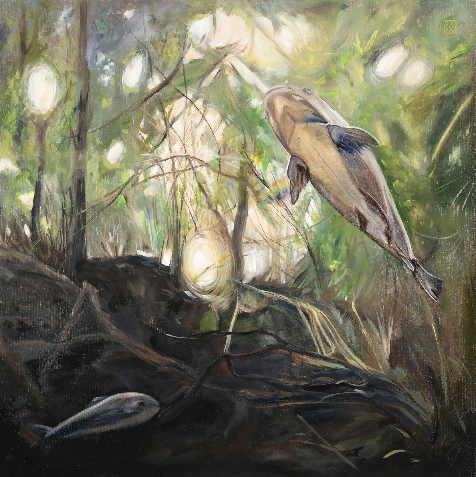 Group show at Rosebud Gallery
