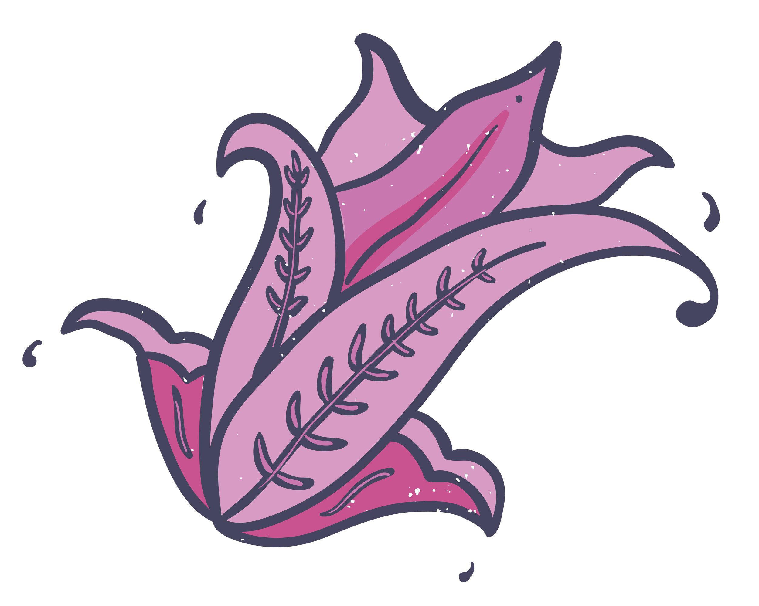 paisley-02.jpg