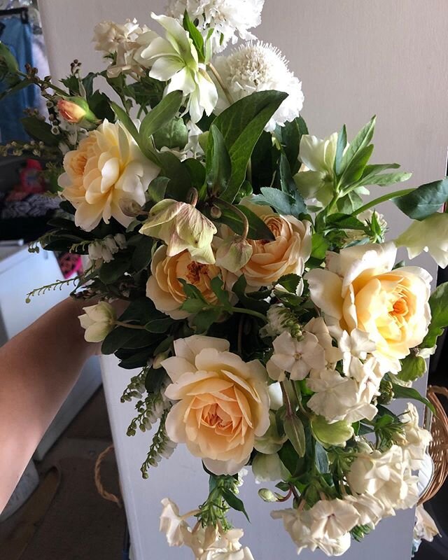 Creamsicle bouquet 😛 made up of only the good stuff. Minus ice cream. If I could figure out how to put ice cream in my bouquets it would be an absolute game changer.