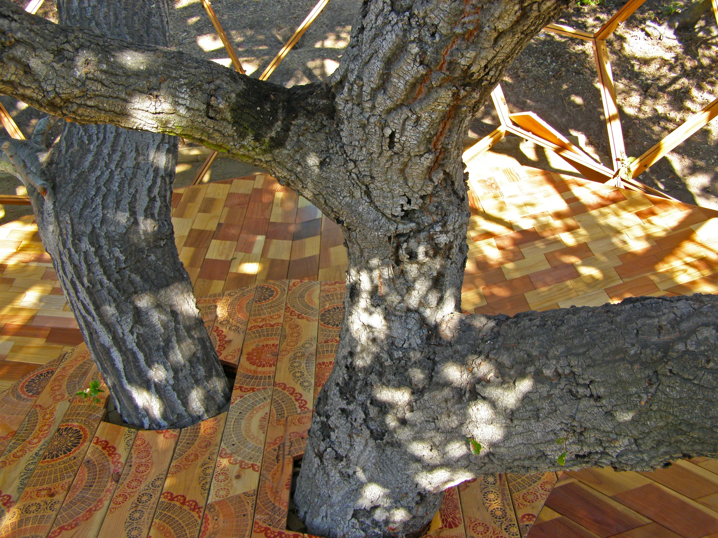 HoneySphere-FloorTree2.jpg