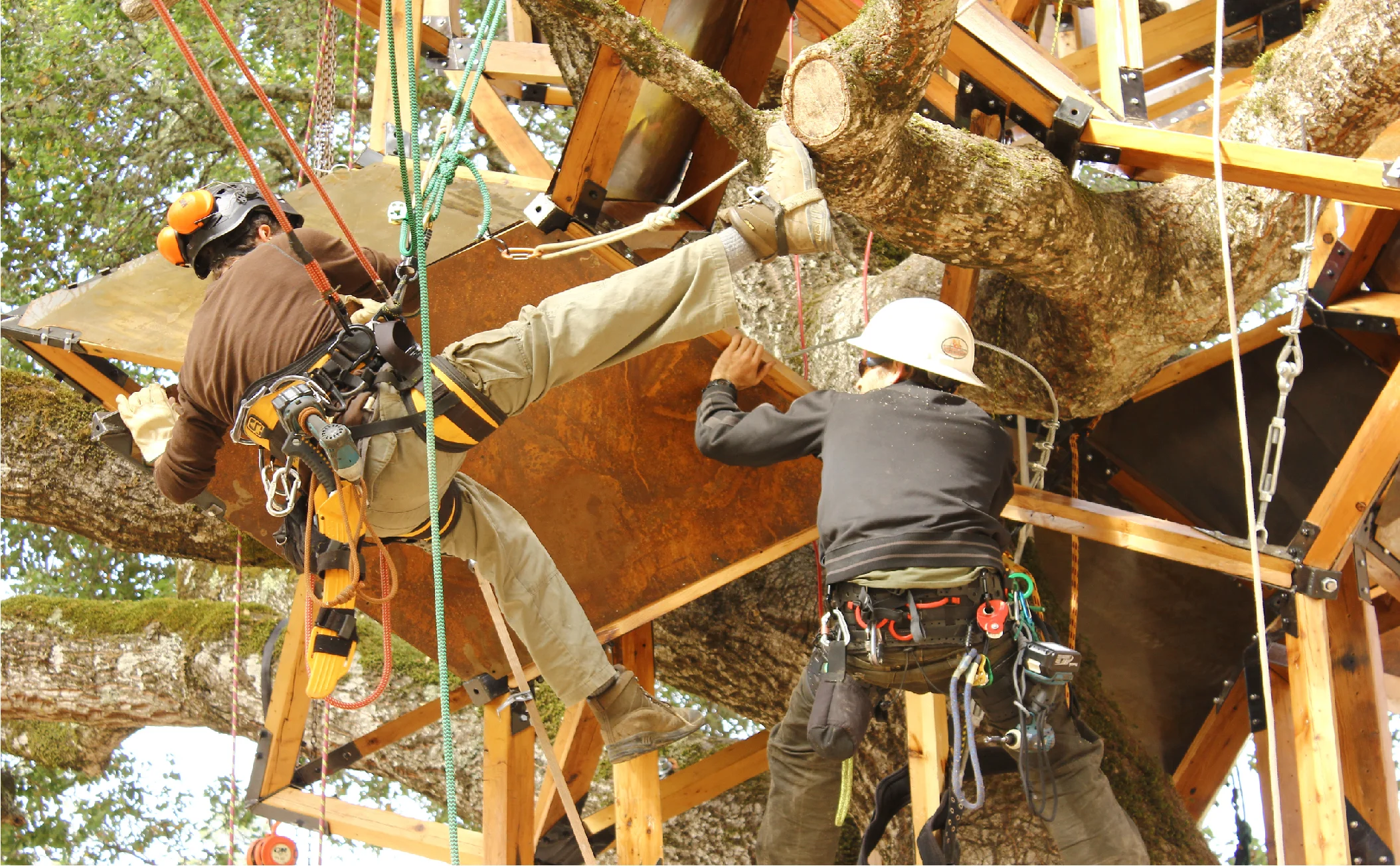 CLIMBING