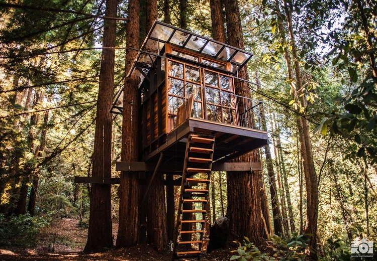 Treehouse sacred forest