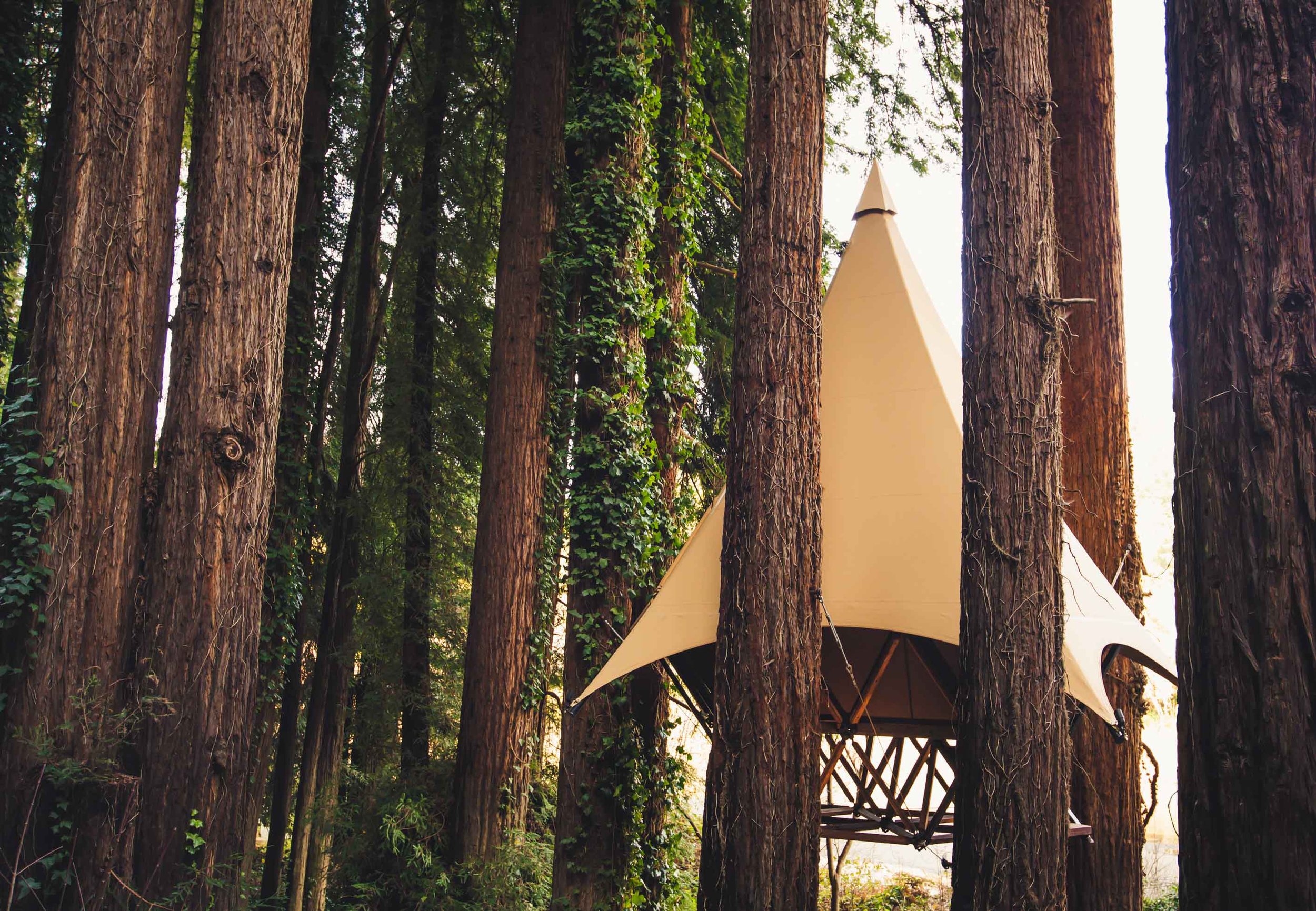 Treewalkers O2 Treehouse Glamping Tent-treewalkers - 136.jpg