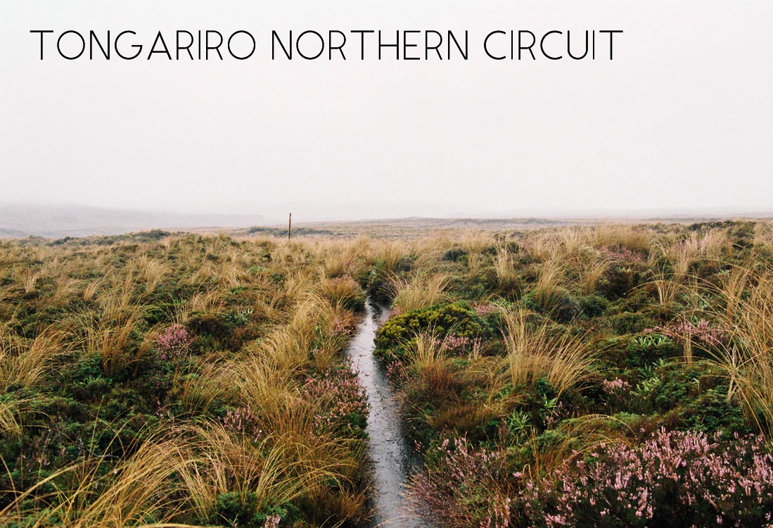 Tongariro-Northern-Circuit-by-Dawn-Chapman.jpg
