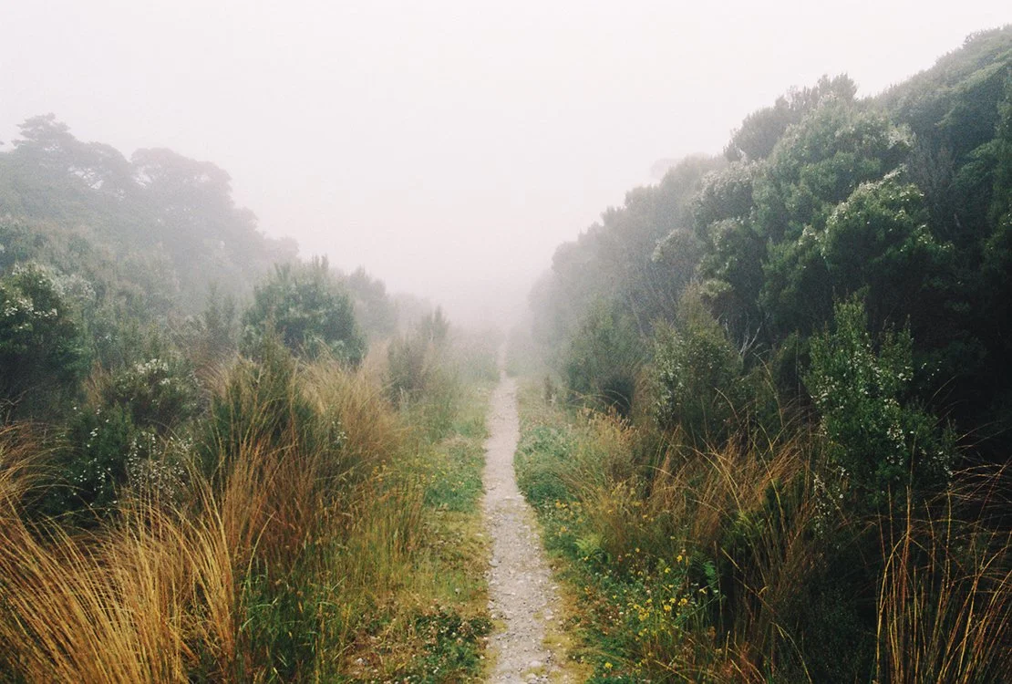 Heaphy Track Fog