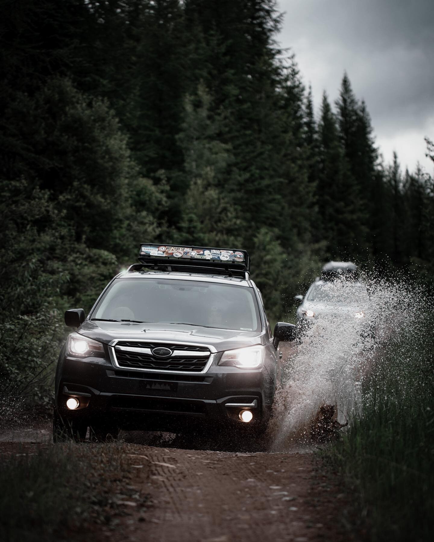 Thoroughly enjoyed trekking the rough terrain this trip. @vanessaguiniga reluctantly drove through many puddles per my request 😆

&bull;
&bull;
&bull;
&bull;
&bull;
#subaru #subaruforester #forester #subarulifestyles #subieadventures #subaruadventur