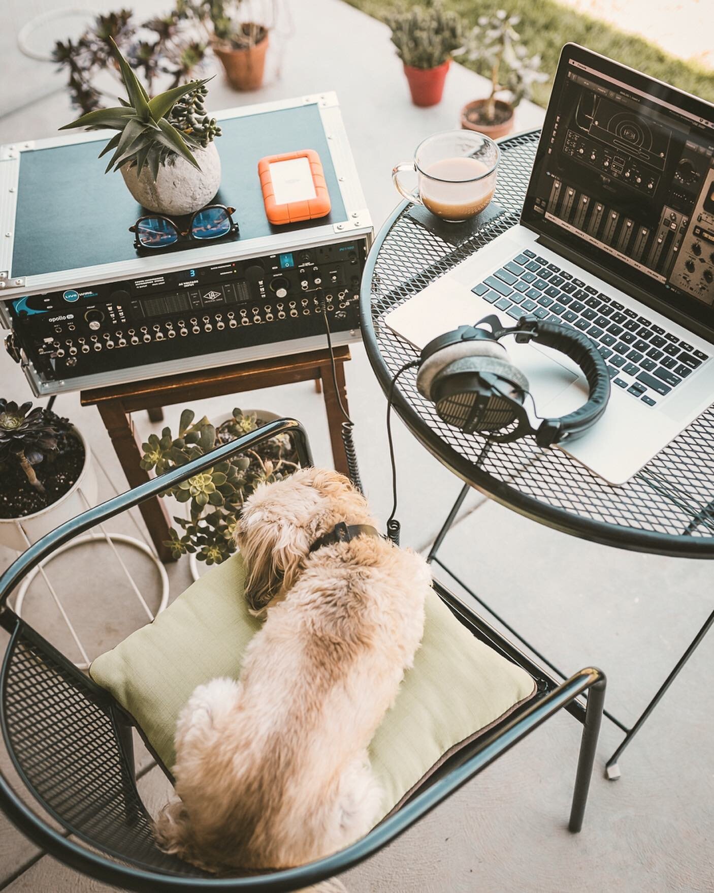 Working outside because Earth Day.
🐶 My assistant looks really busy...