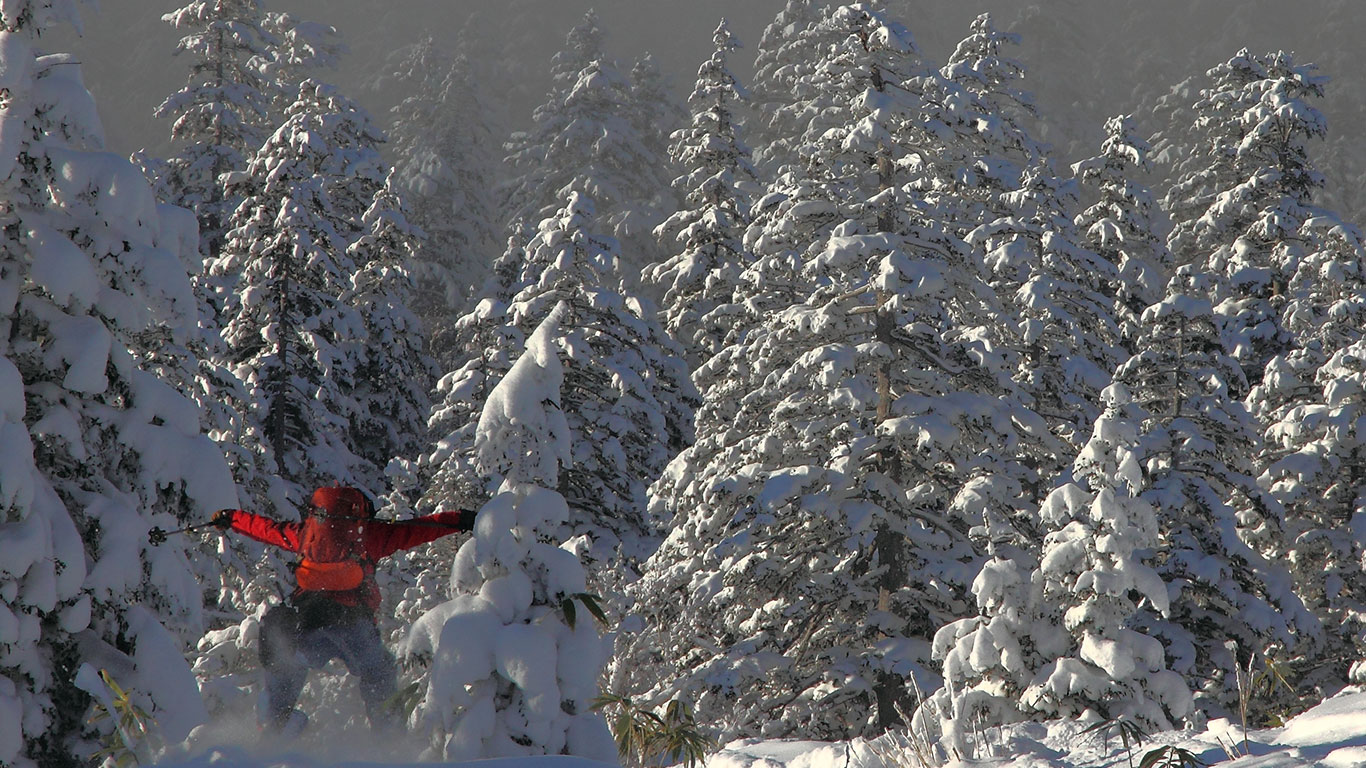 Ski Tokachi backcountry powder