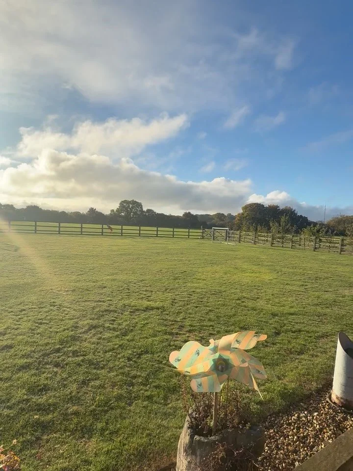 Such a beautiful week in the countryside working on my new manuscript. 

As I walked the familiar woods near my family home, I was struck by the constancy, the metaphysical beauty of a place untouched by time. 

Perhaps nature&rsquo;s wisdom is conta