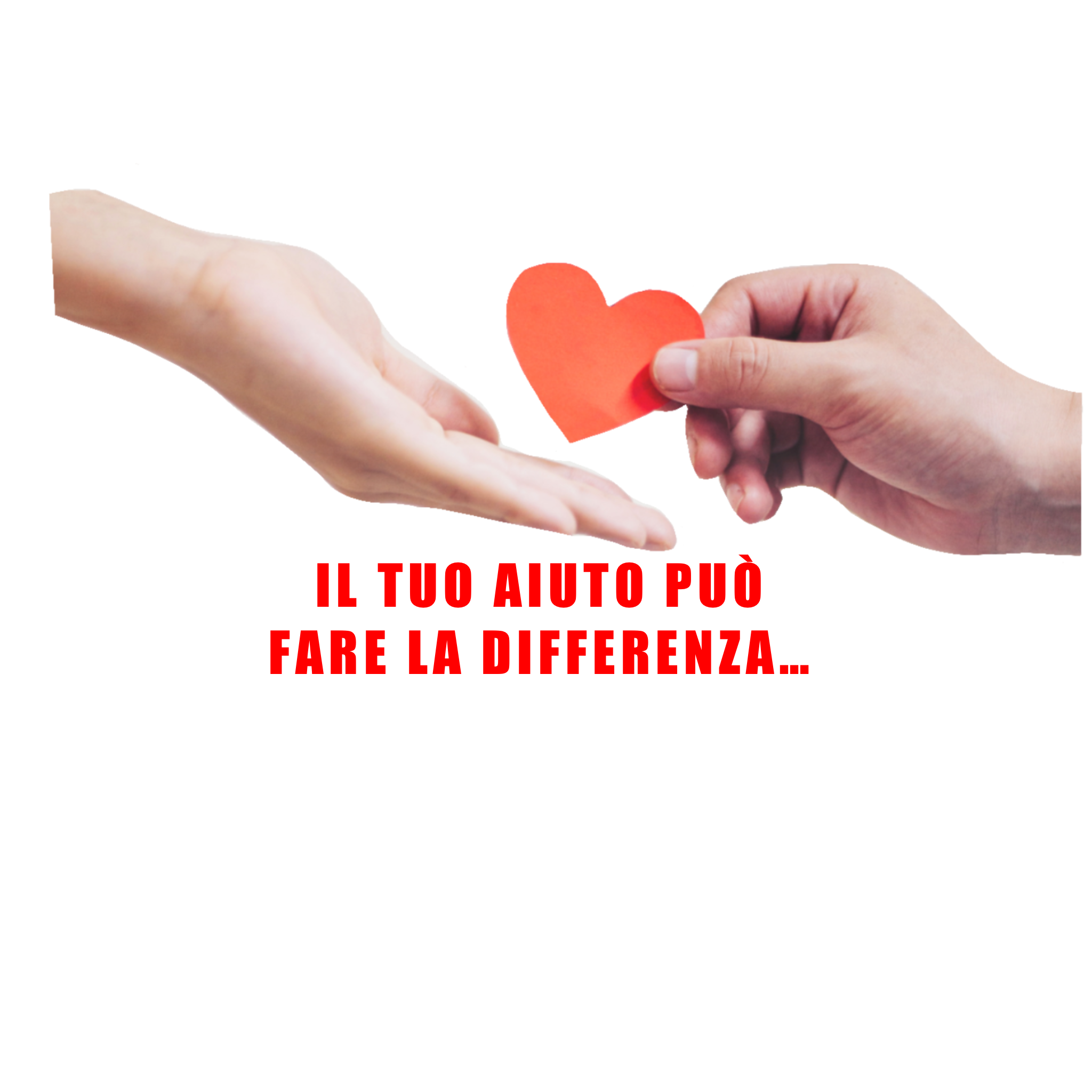 Concerto per raccolta fondi "UN'AUTO ATTREZZATA PER SALVATORE"