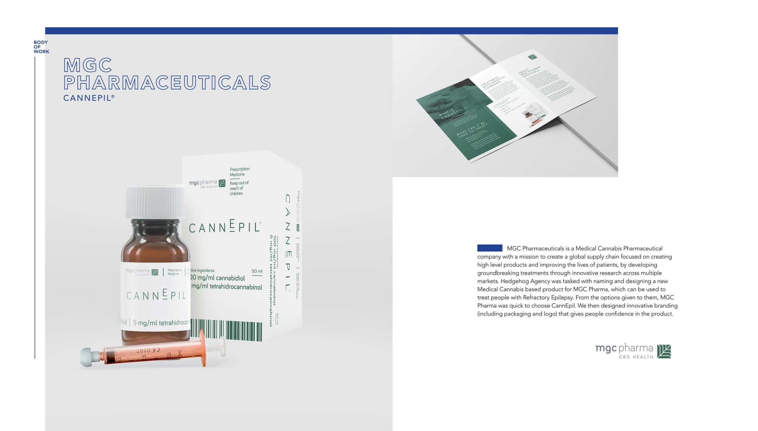 HGDHG - Pitch Deck-08.jpg