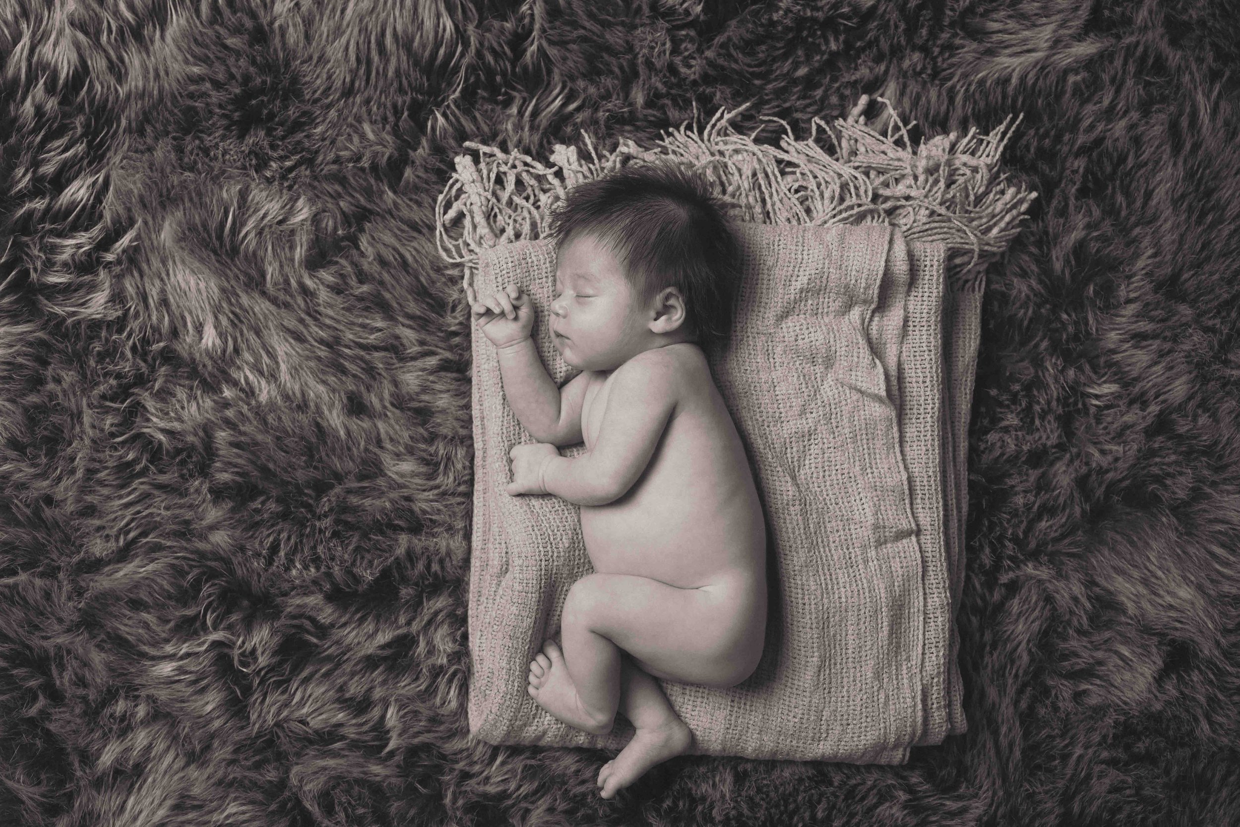 Newborn baby studio shoot-5969.jpg