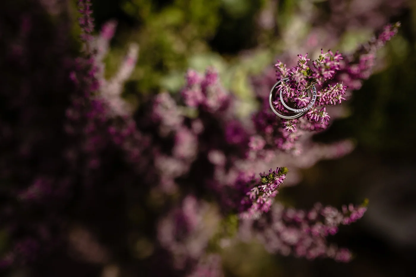 Oppie Plaas Venue Wedding - Brandon & Danielle