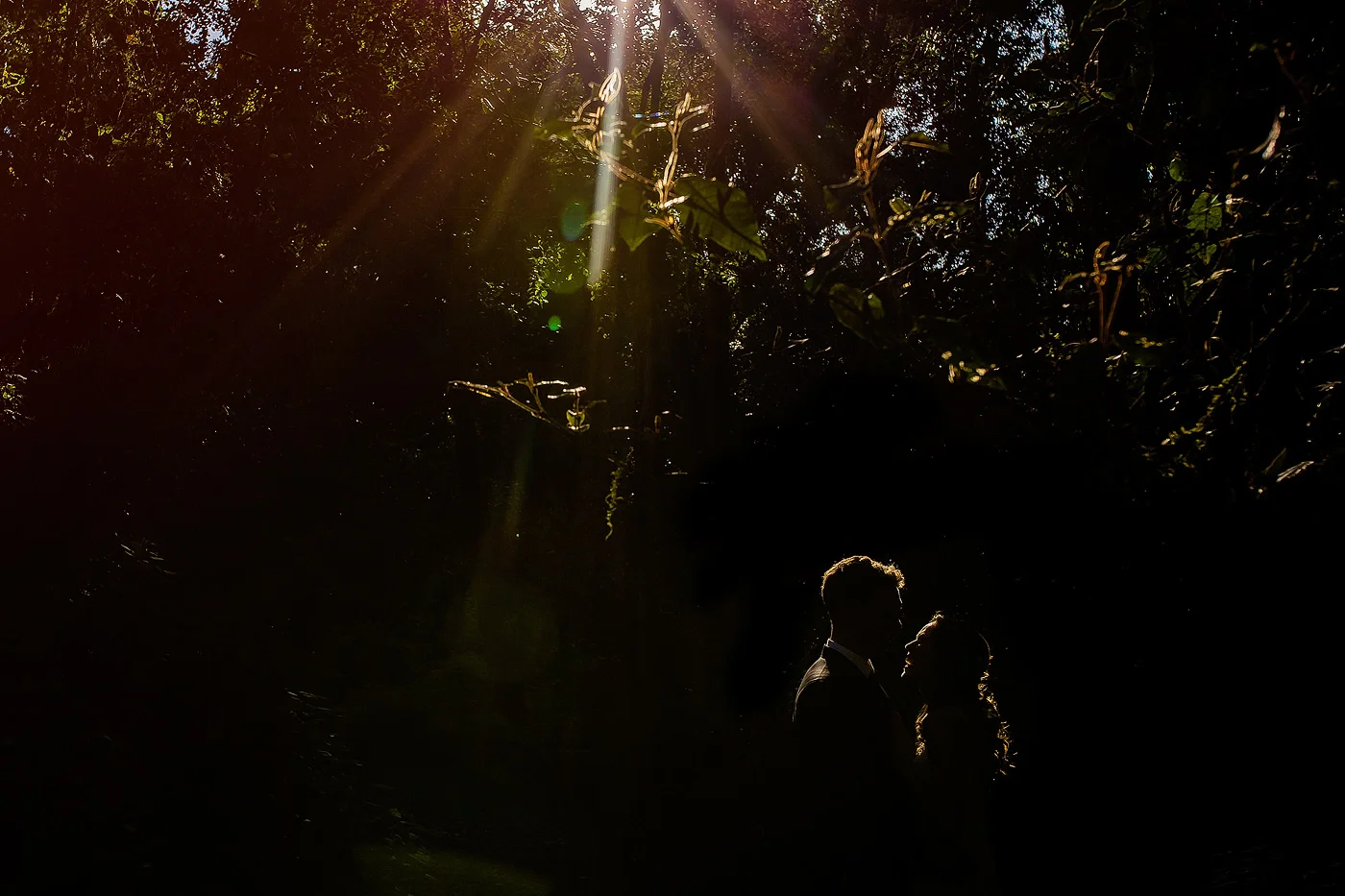 Garden Route Forest Wedding - Ian & Robyn