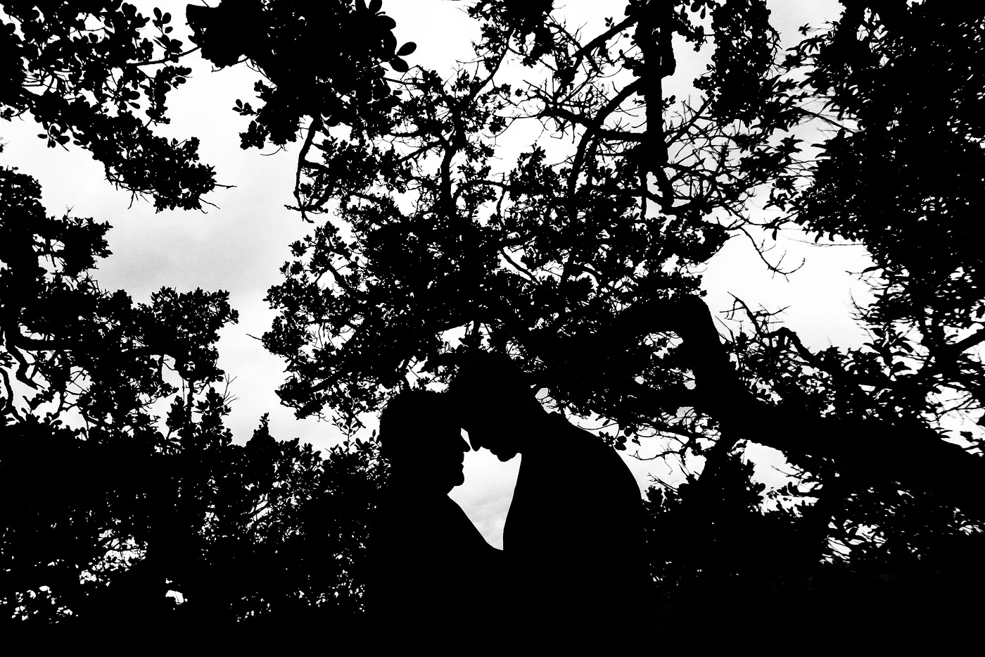 Intimate Garden Route Same Sex Wedding - Burgert & Marthinus