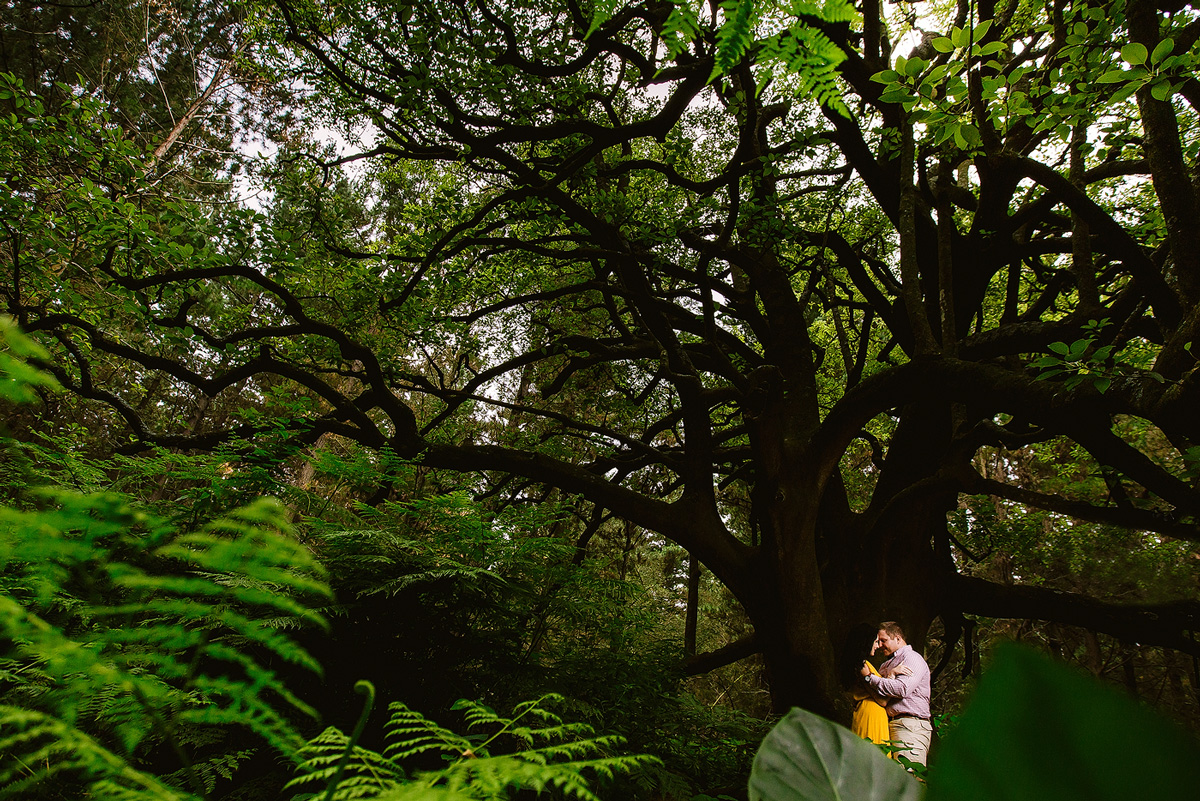 Garden Route Forest Portraits - Ruan &amp; Carmen