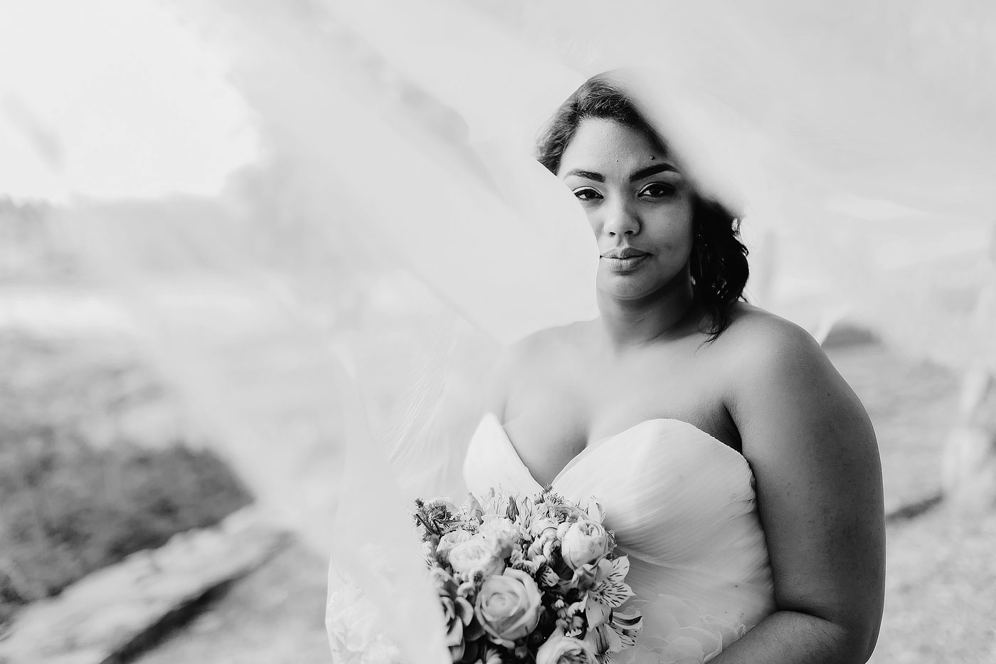 Bride Veil Portrait