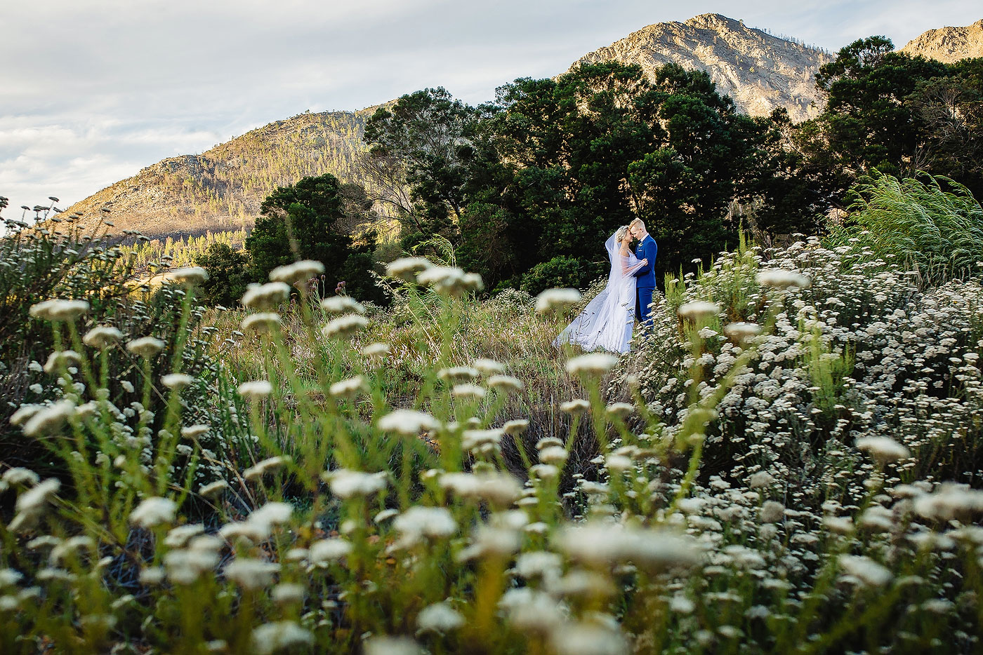 Natural Wedding Photo in Fynbos
