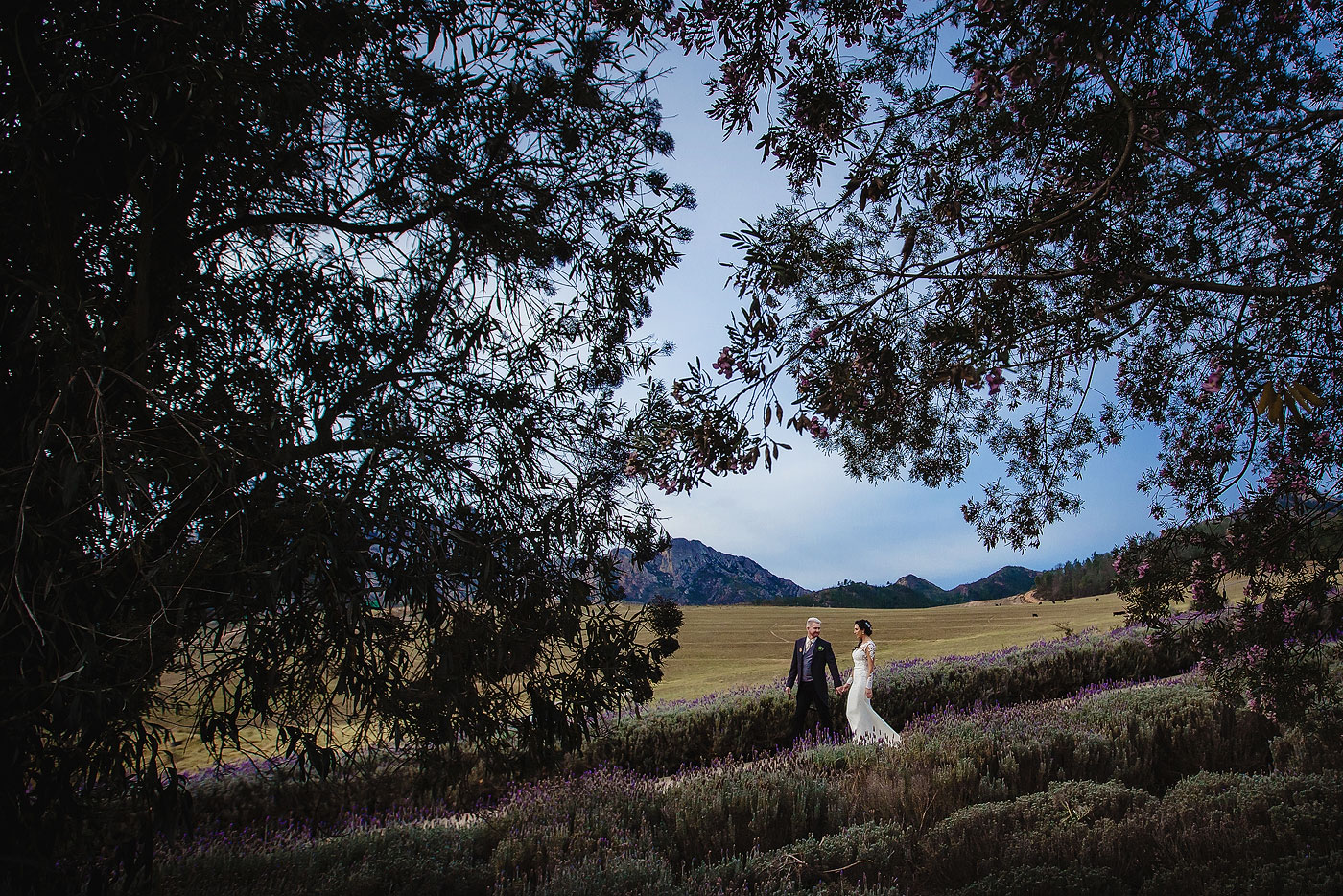 Creative images photography wedding.