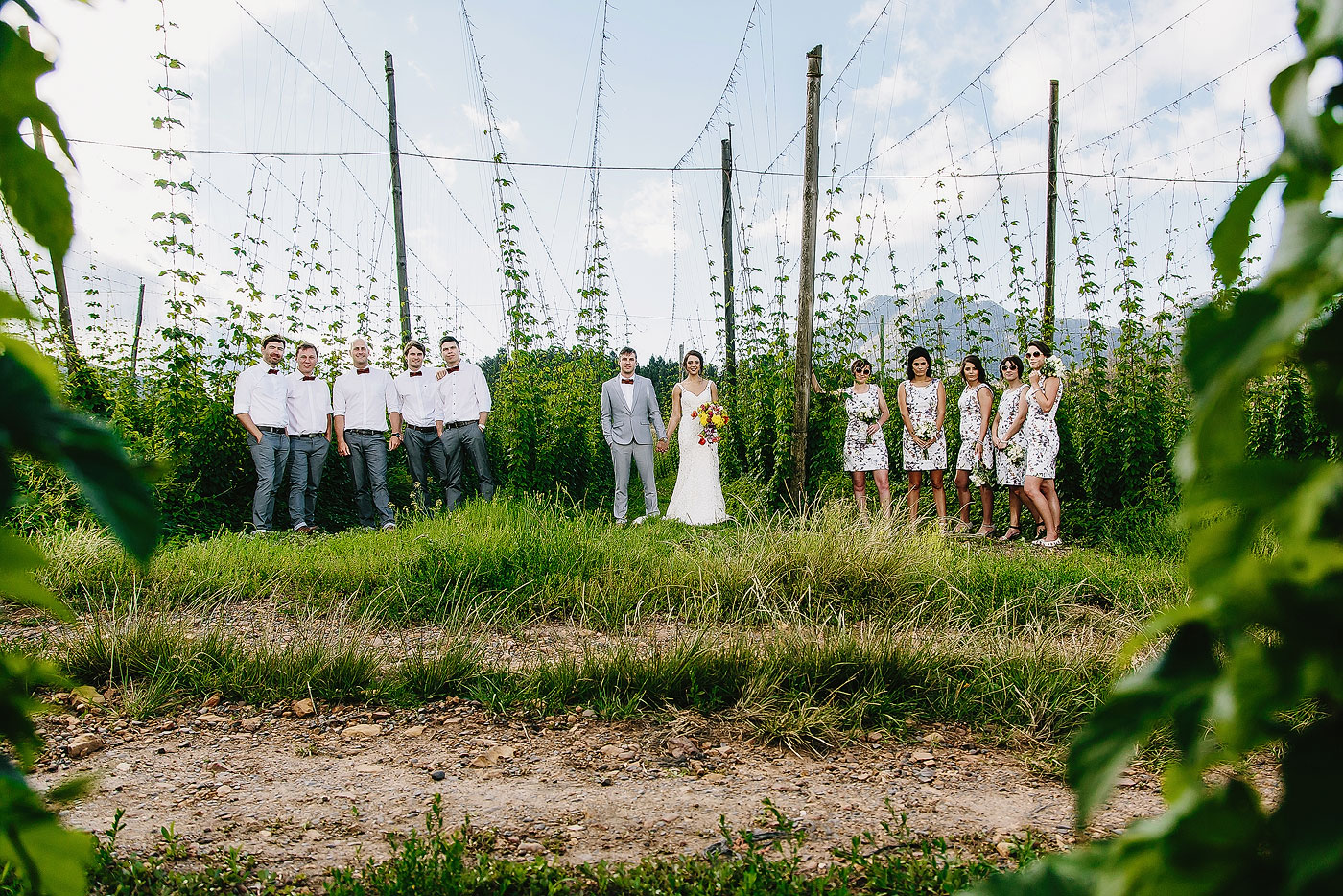 Large Wedding Bridal Party in a field of Hops.