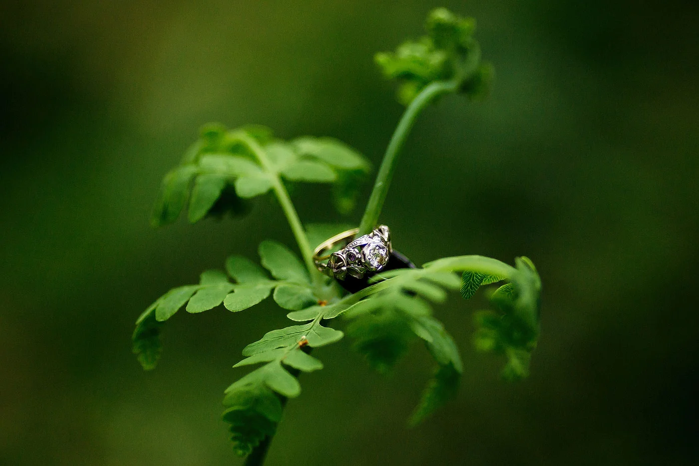 Wedding and Engagement Rings