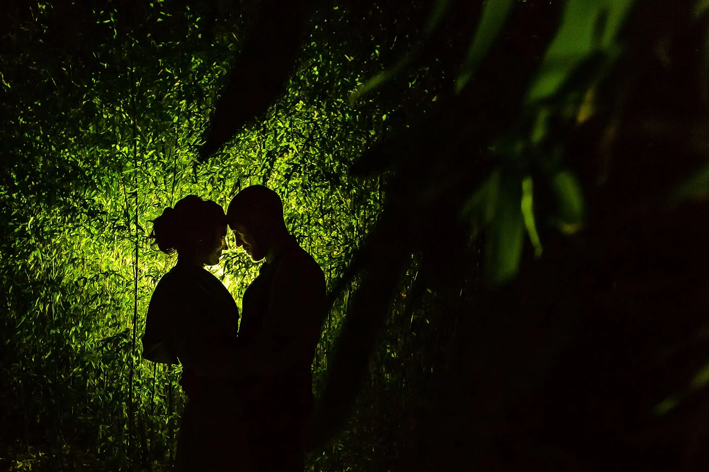 Creative Bamboo Wedding Evening Photo