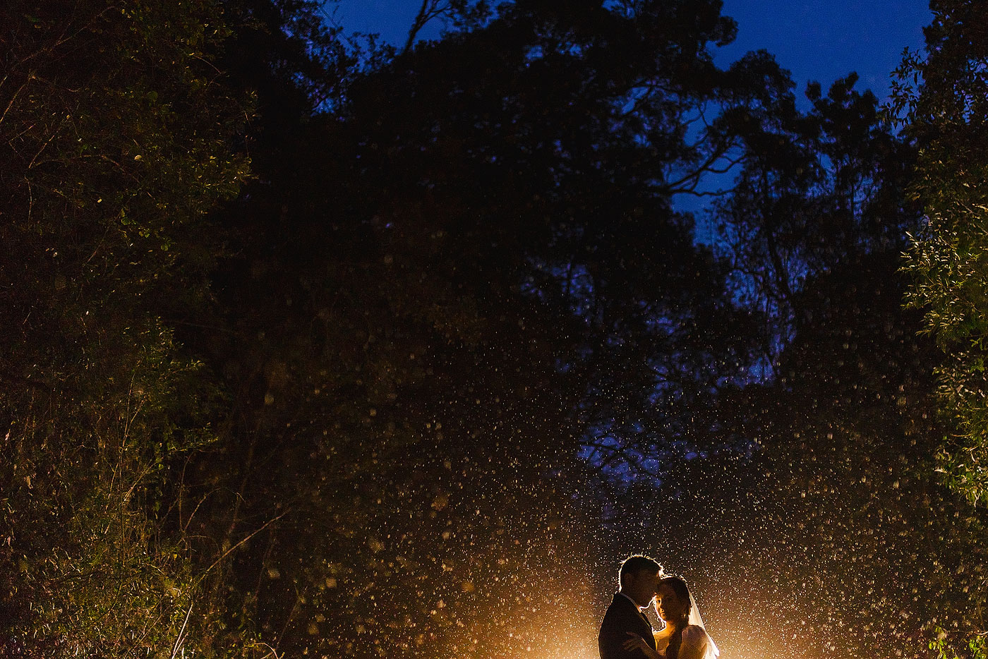 Rain Wedding Photo in the Forest