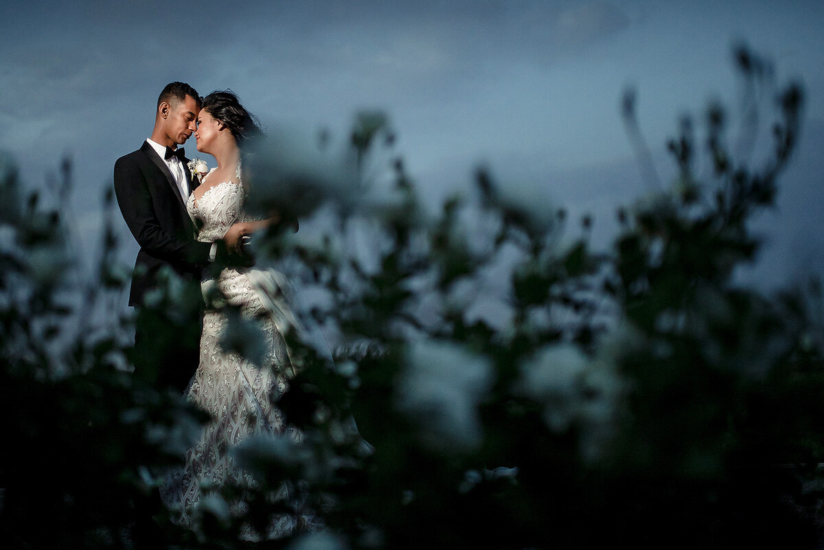 Elegant Wedding Couple Portraits in the early evening on a wine farm in Upington.