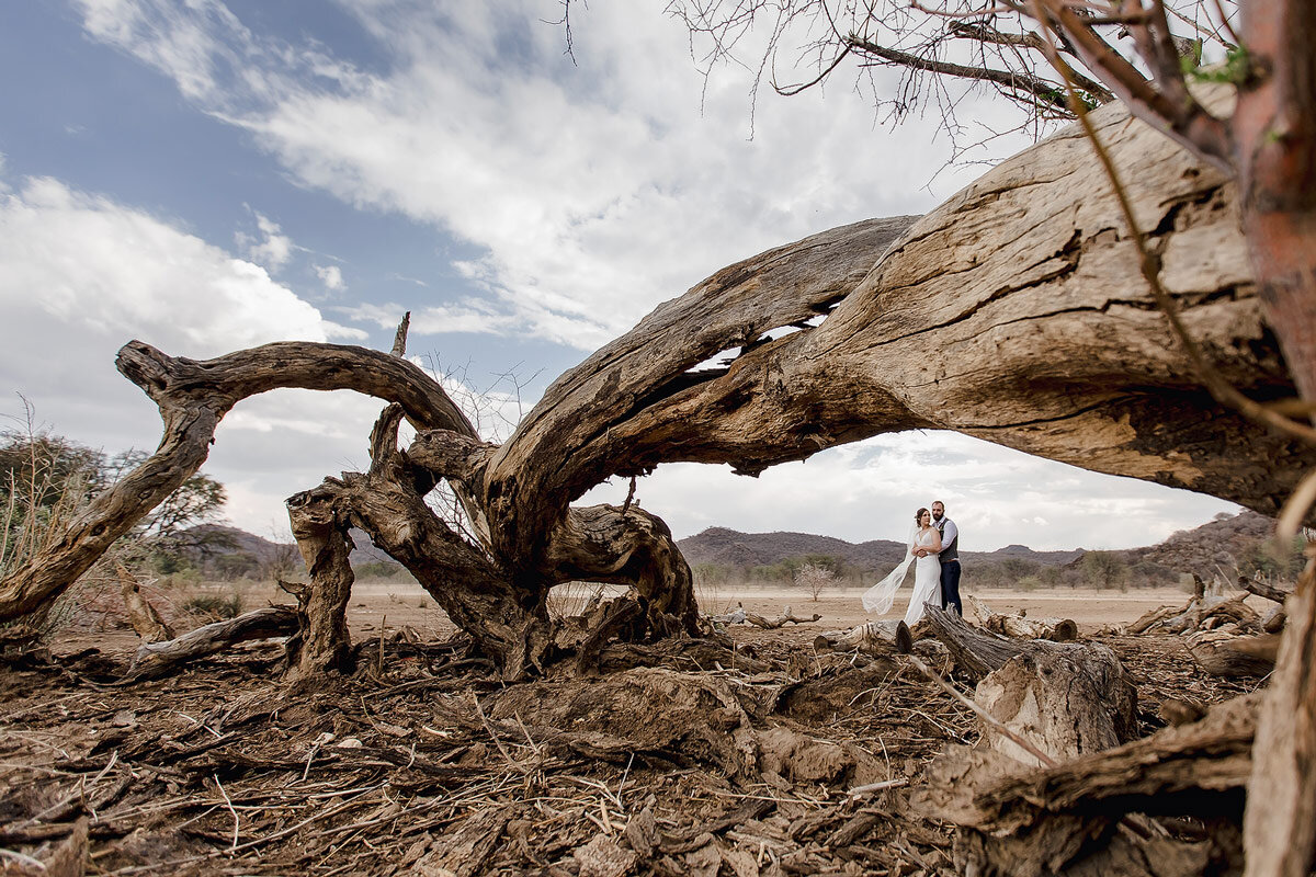 Destination Wedding Couple portraits in an Open Veld in Namibia with old tree.