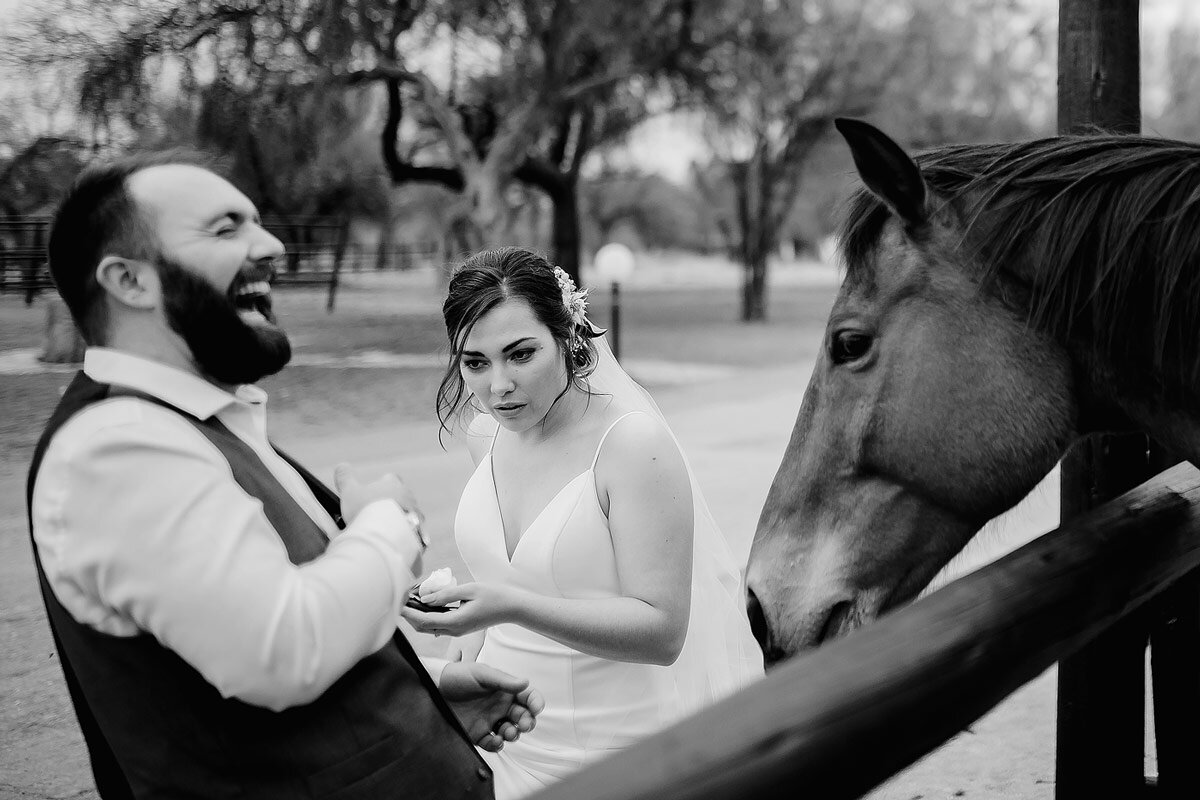 Fun wedding couple photo shoot with a horse during an African Destination Wedding in Namibia.