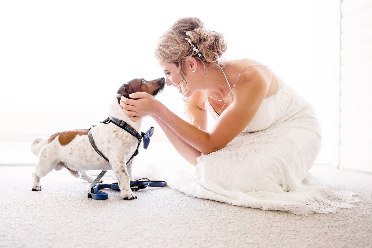 Bride and her dog on her wedding day before the wedding ceremony.