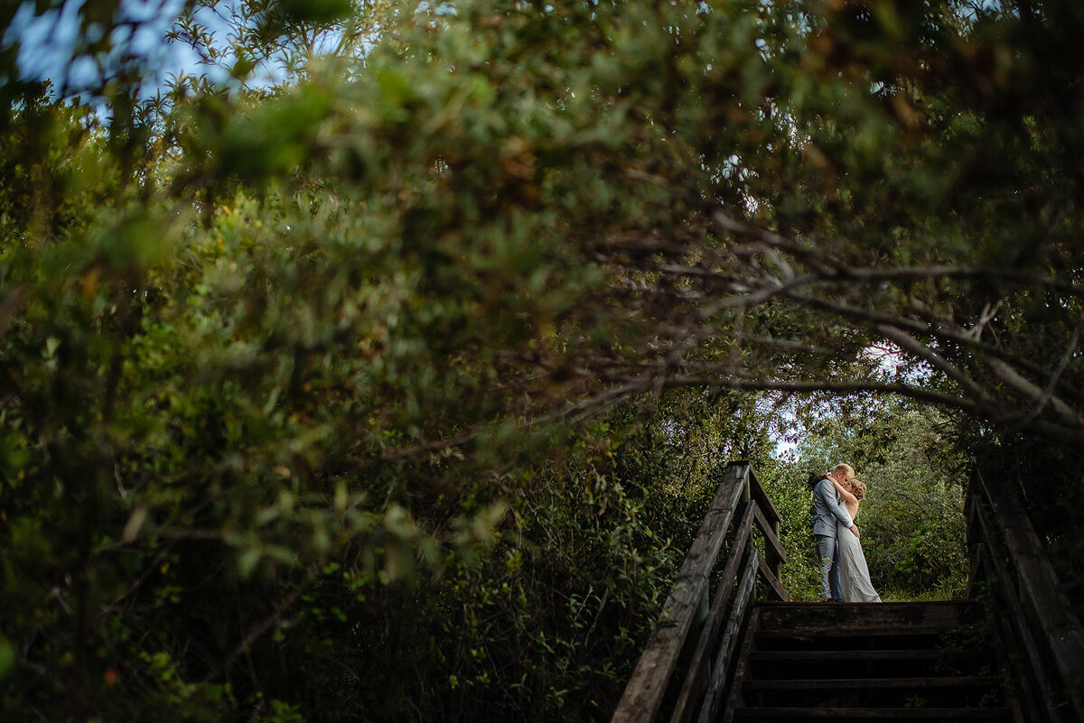 Classic bride and groom wedding portrait with trees in Plettenberg Bay.