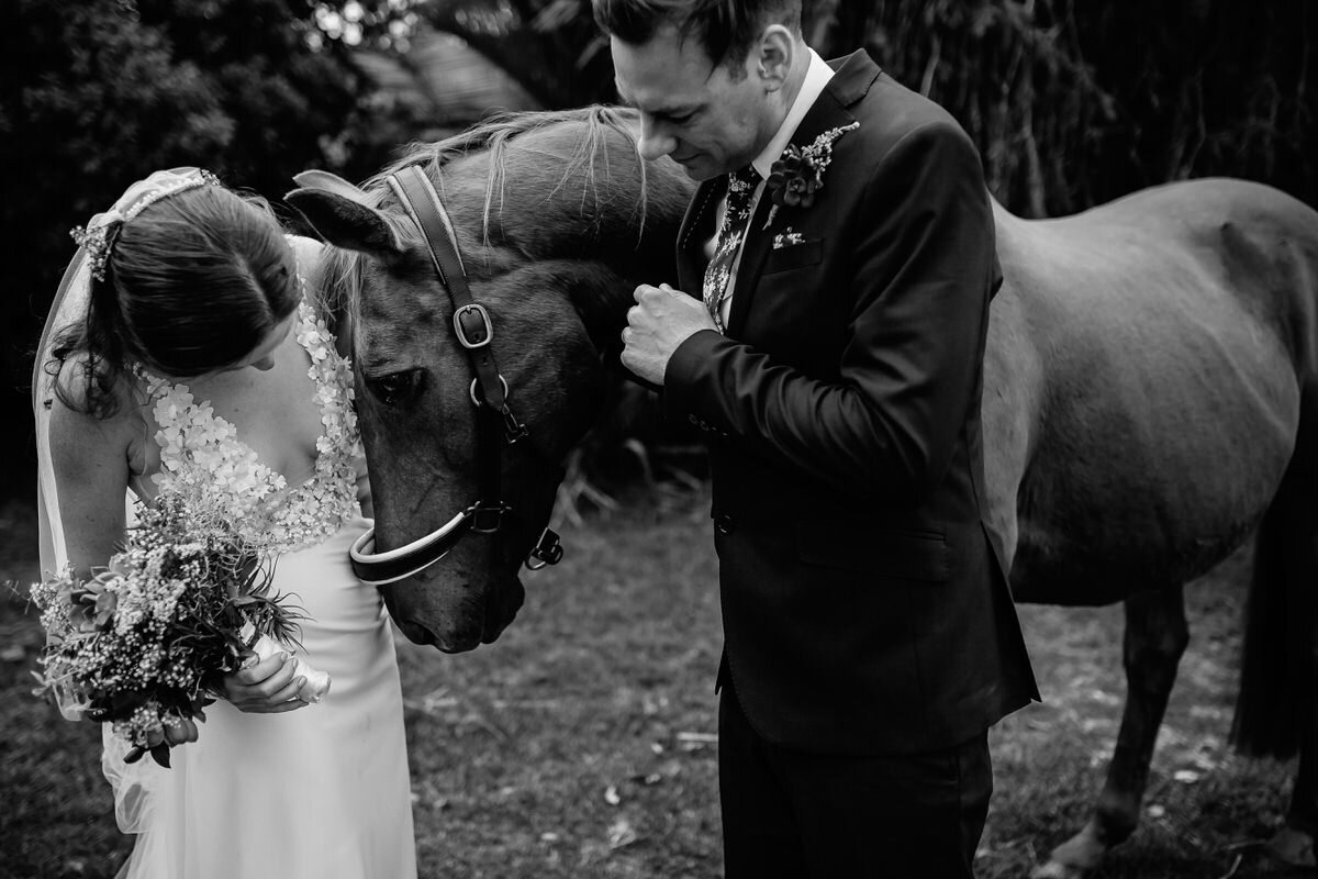 Wedding couple photos with a horse near Plettenberg Bay.