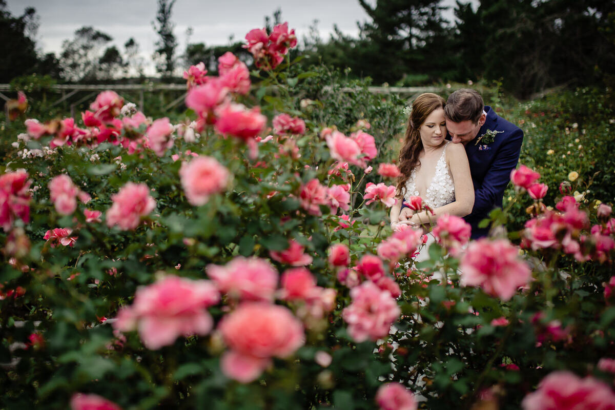 Romantic Wedding couple photos with roses near Plettenberg Bay.