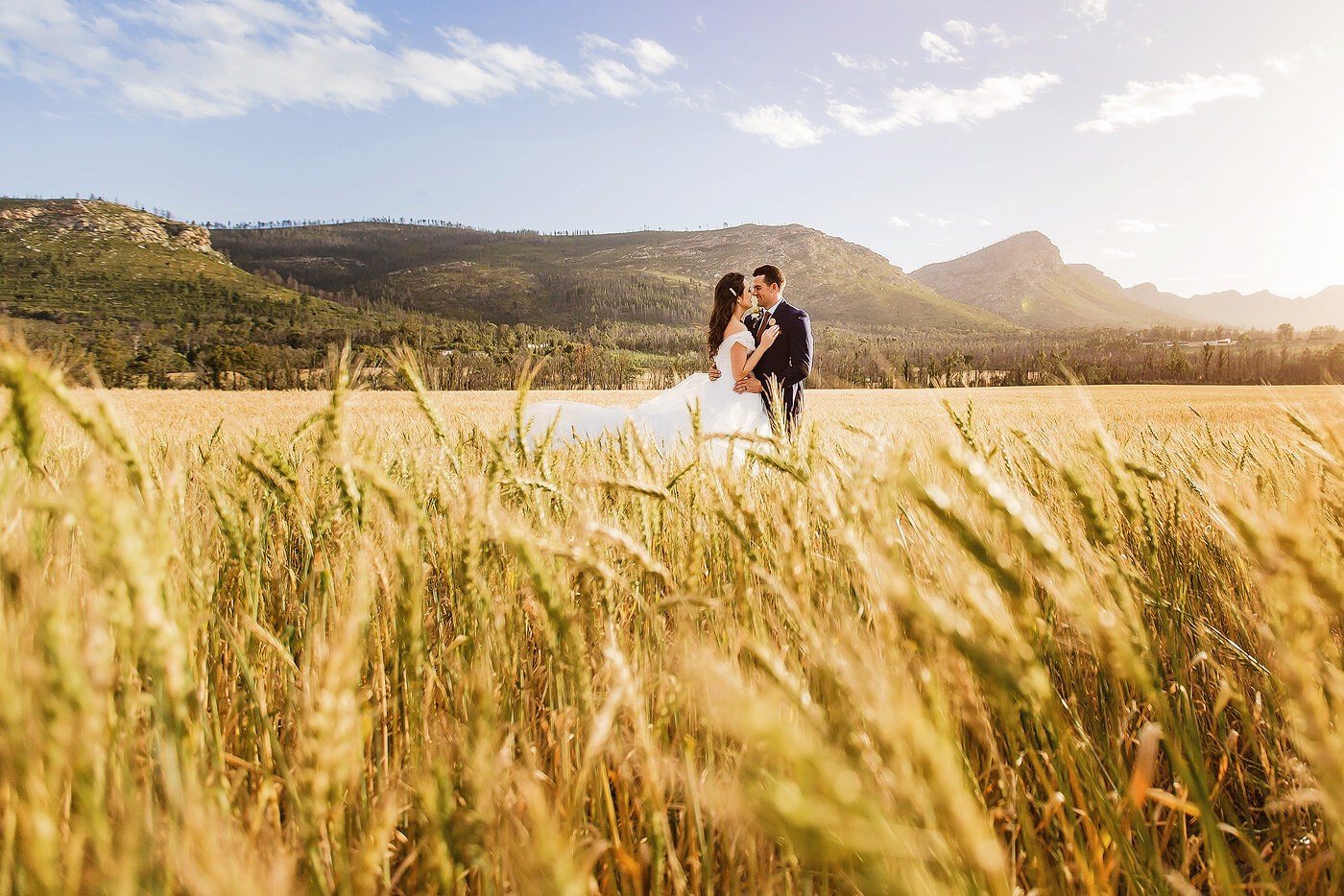 Bride and groom wedding photos in wheat field.