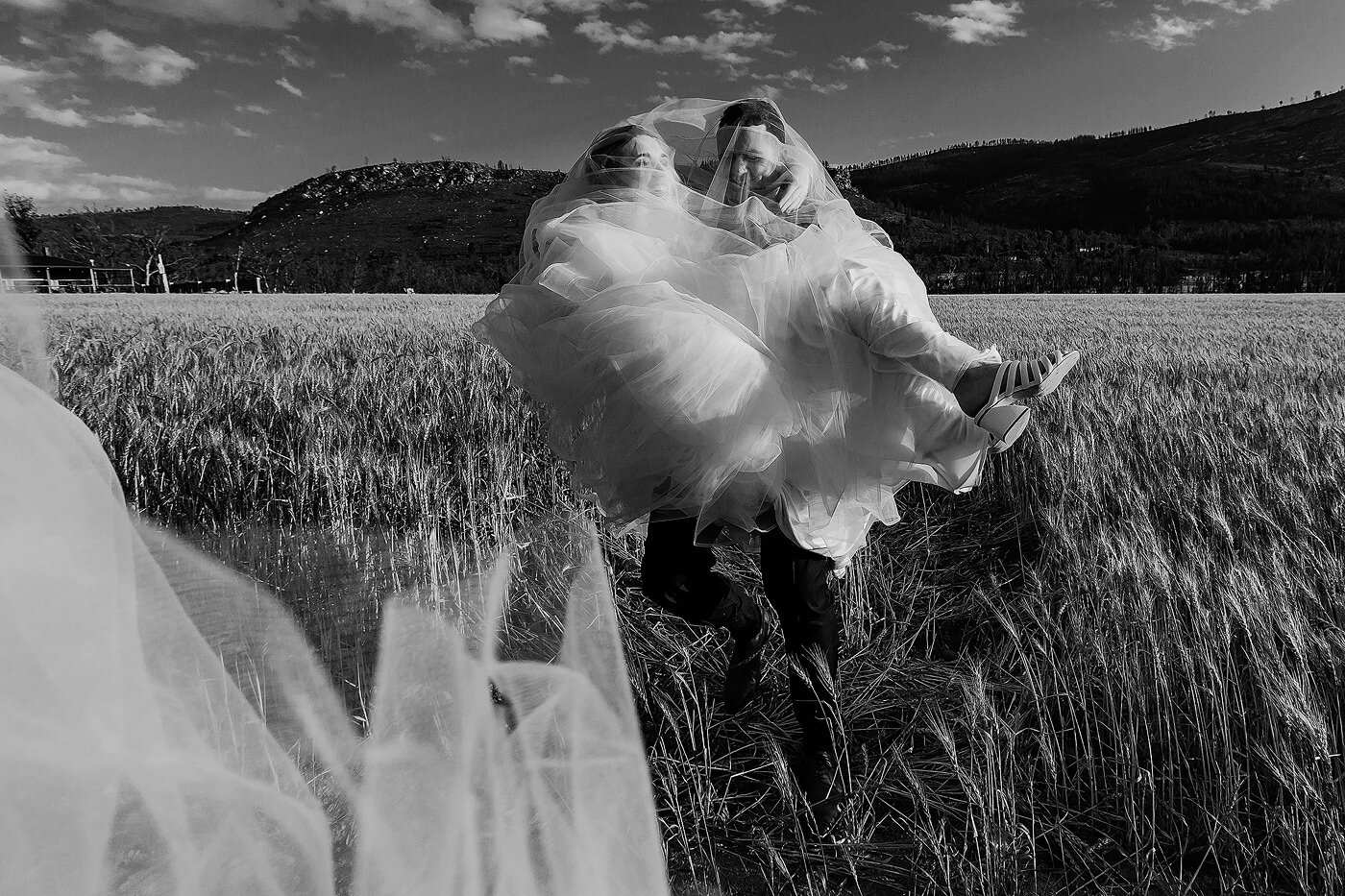 Bride and groom wedding photos in wheat field.