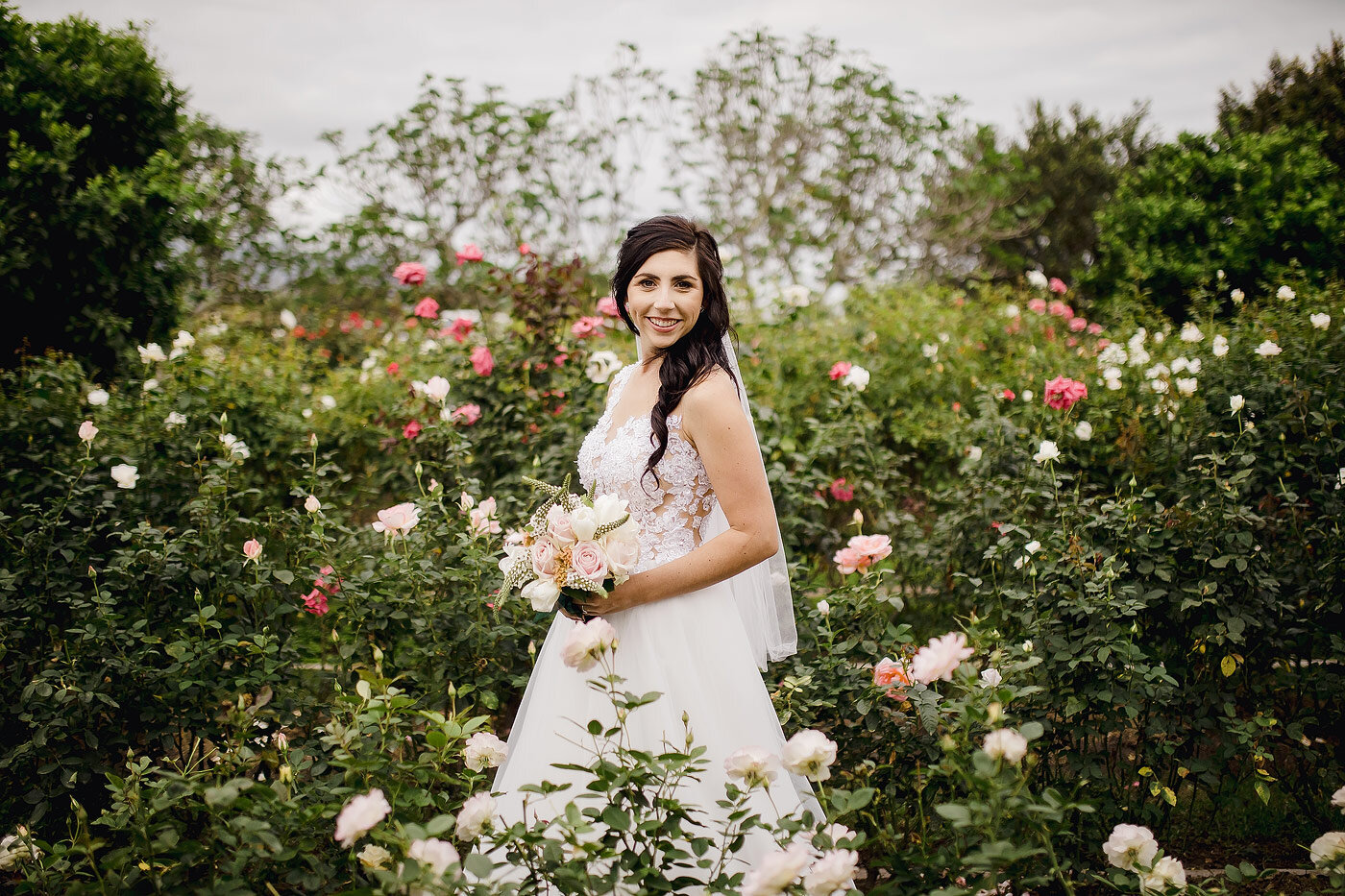Bridal portraits between rose flowers in the Garden Route.