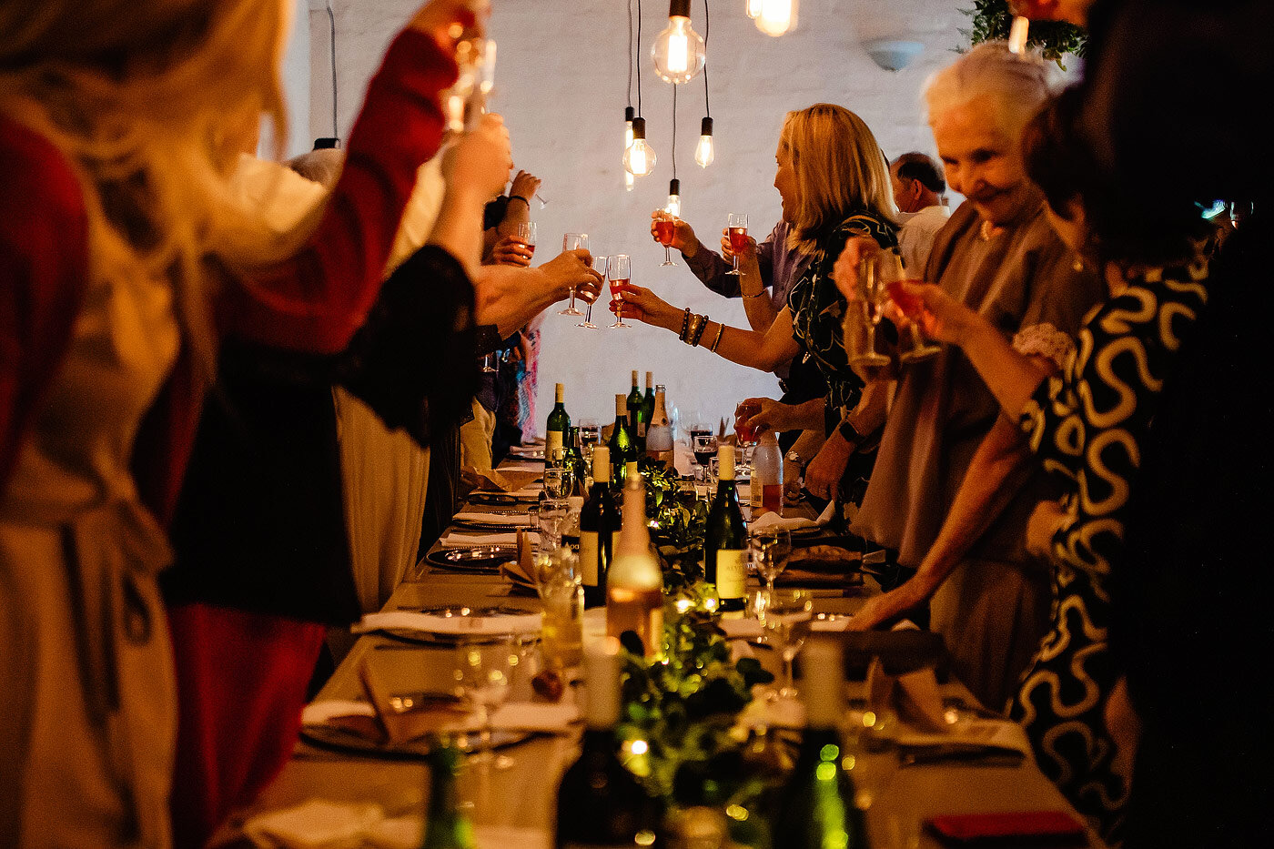 Guests making a toast during the wedding reception.