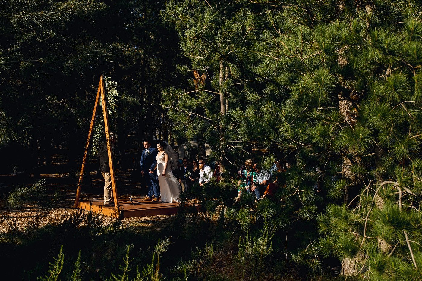 Wedding Ceremony in a Pine Forest