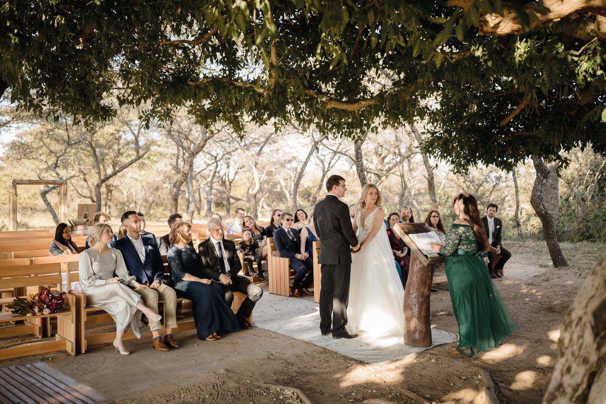 Beautiful wedding ceremony under a wild fig tree in Limpopo.