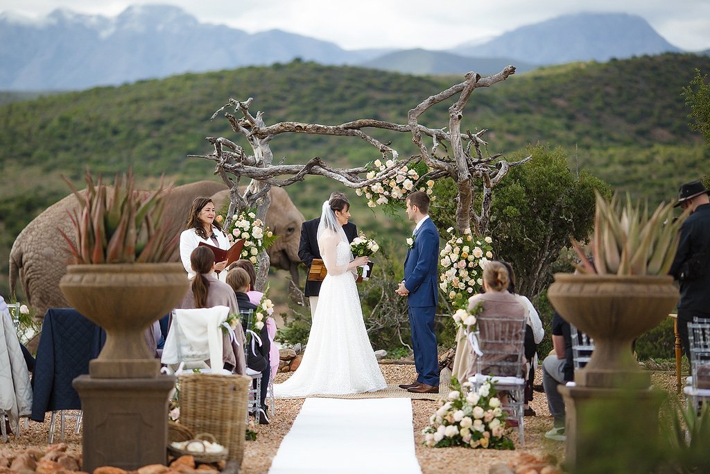09_Karoo-Wedding-at-Buffelsdrift-Game-Lodge-in-Oudtshoorn-–-Igor-and-Katya.jpg