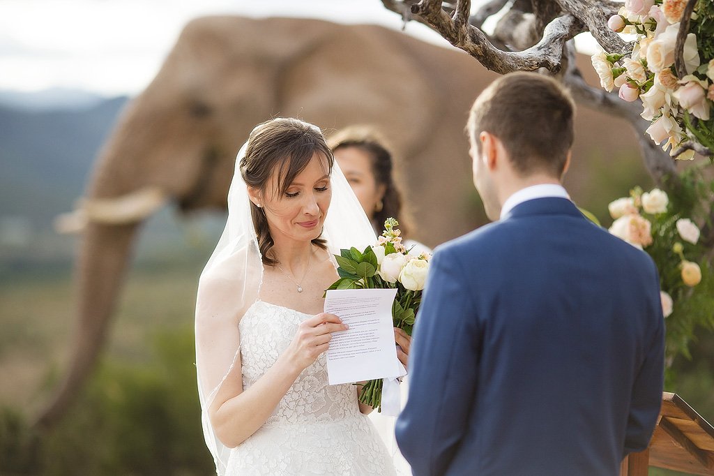 10_Karoo-Wedding-at-Buffelsdrift-Game-Lodge-in-Oudtshoorn-–-Igor-and-Katya.jpg