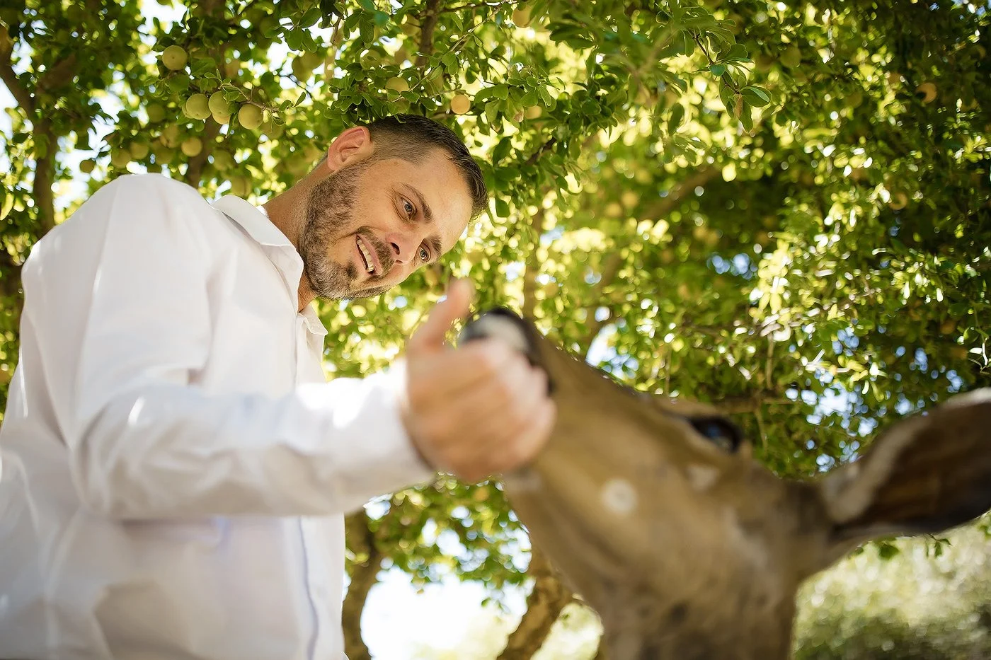 02_Karoo-Game-Lodge-Elopement-with-Elephants-–-Carel-and-Lizandri.jpg