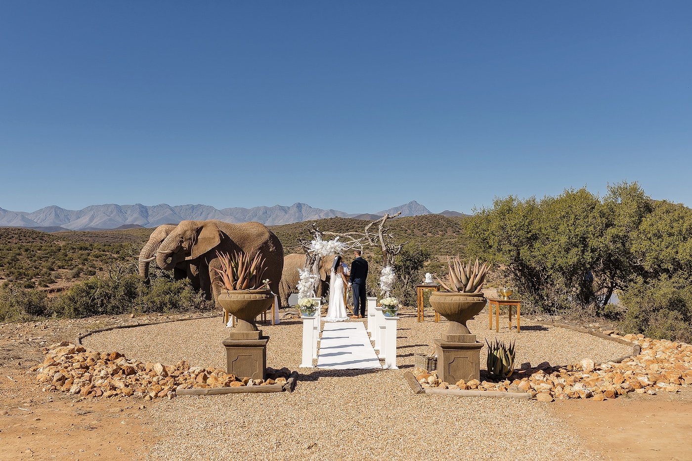 11_Karoo-Game-Lodge-Elopement-with-Elephants-–-Carel-and-Lizandri.jpg
