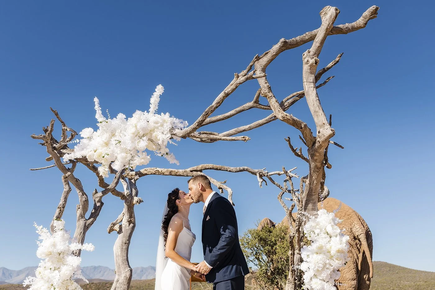 12_Karoo-Game-Lodge-Elopement-with-Elephants-–-Carel-and-Lizandri.jpg