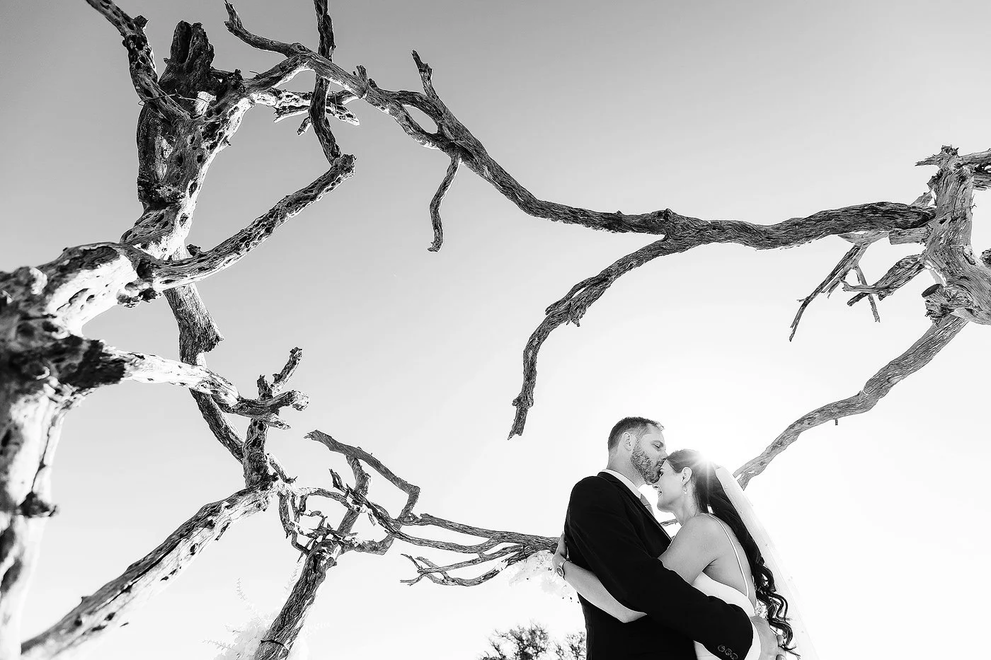 13_Karoo-Game-Lodge-Elopement-with-Elephants-–-Carel-and-Lizandri.jpg