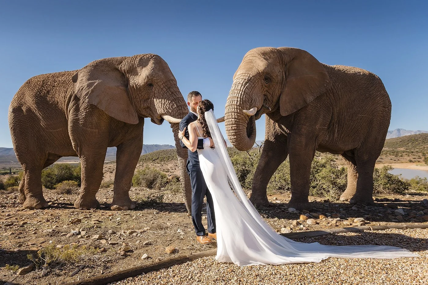 14_Karoo-Game-Lodge-Elopement-with-Elephants-–-Carel-and-Lizandri.jpg