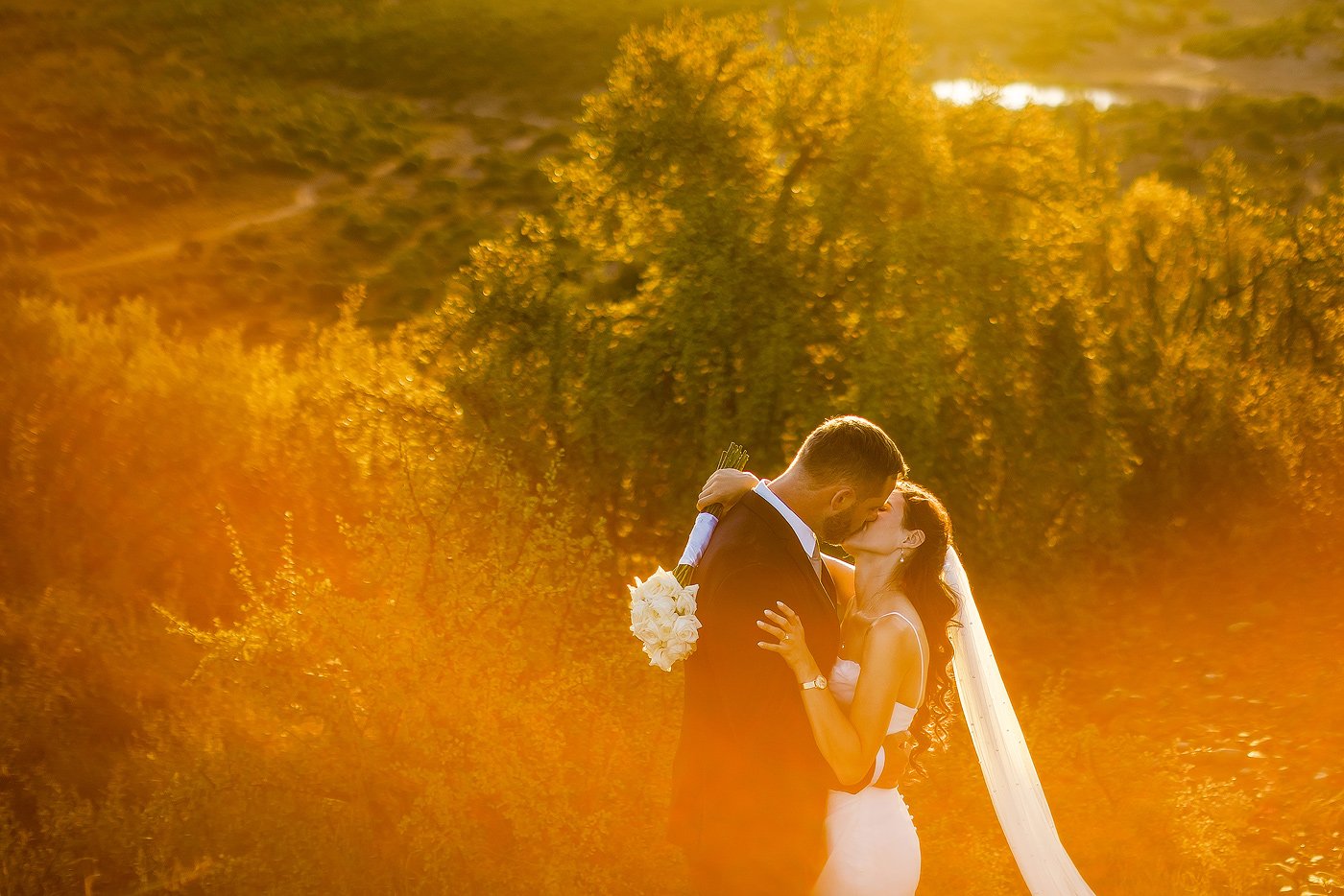 17_Karoo-Game-Lodge-Elopement-with-Elephants-–-Carel-and-Lizandri.jpg