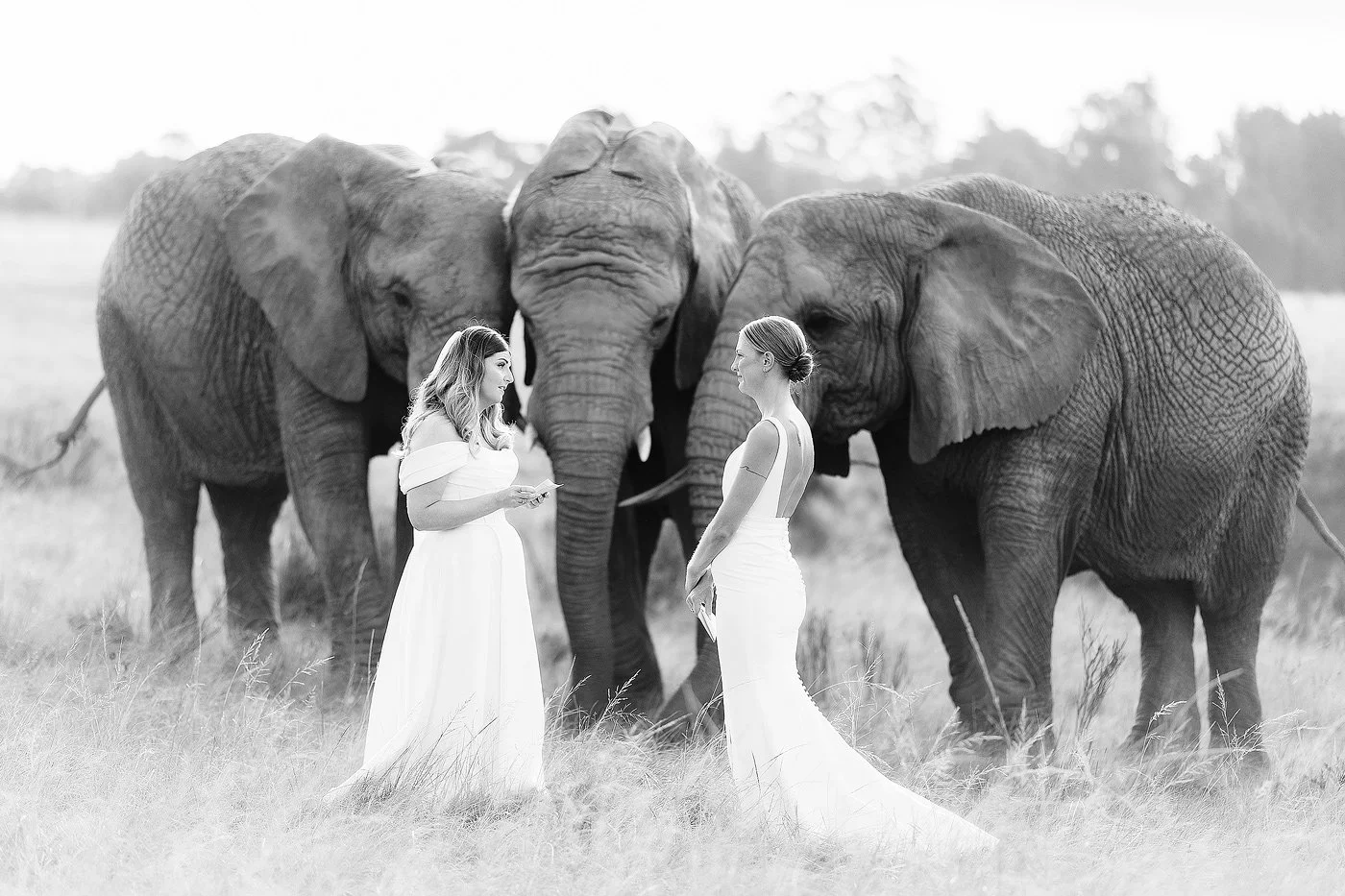 31_Wedding-Elopement-with-Kim-and-Kylie-at-Knysna-Elephant-Park-in-the-Garden-Route.jpg